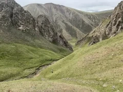 Gouli Valley, Qinghai, China.