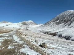 Snowy landscape of the Gouli Valley, Qinghai, China.
