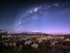 Trijuncao Private Reserve at night.
