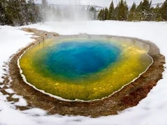 Geyser in Yellowstone National Park, USA.