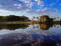 Water reflecting a scenic view of the South Pantanal, Brazil.