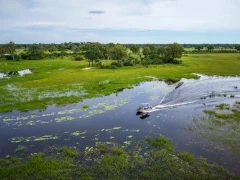 Aerial view of a boat trip in the Okavango Delta, Botswana.