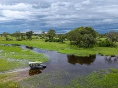 Game drive from Karangoma accommodation in the Okavango Delta, Botswana.