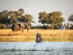 Guests in a mokoro heading for the helicopter, in the Okavango Delta, Botswana.