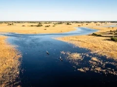 Aerial view with mokoros, in the Okavango Delta, Botswana.