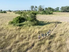 Guests on a walking safari in the Okavango Delta, Botswana.