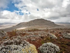 A view of the Sanetti plateau landscape in Bale Mountains National Park.