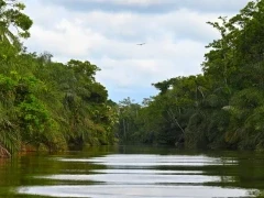An Akaka landscape, in Loango National Park, Gabon