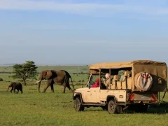 Guests observing elephant in Kenya.