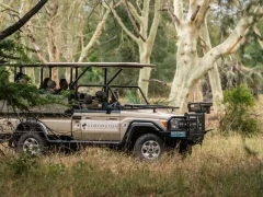 Guests on a game drive in Gorongosa National Park, Mozambique.