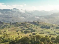 The lush landscape of Gorongosa National Park, Mozambique.