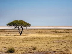 Etosha National Park in Namibia