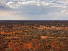 Okonjima in Namibia