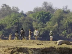 People on a walking safari in South Luangwa National Park, Zambia.
