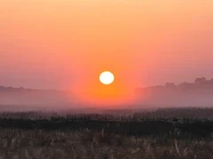 Pink skies over the Sable Valley, Zimbabwe.