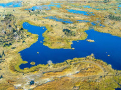 Aerial shot of the Okavango Delta in Botswana during the green season
