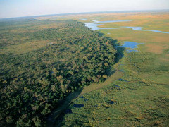 Aerial shot of the Okavango Delta in Botswana