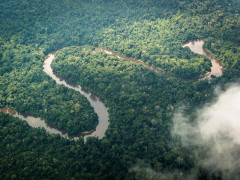 Aerial of Odzala-Kokoua National Park, Congo.