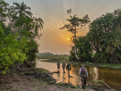 River walk in Odzala-Kokoua National Park, Congo.