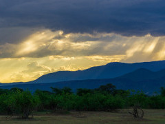 Olkirimatian Conservancy in Kenya.