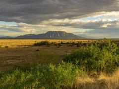 Olkirimatian Conservancy in Kenya.