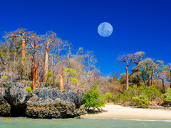 Analanava Bay in Andasibe-Mantadia National Park, Madagascar.