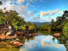 Masoala National Park in Madagascar