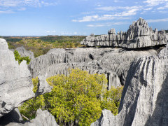 Tsingy de Bemaraha in Madagascar