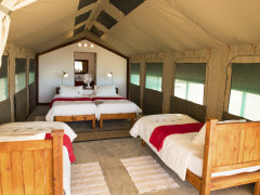 Kalahari Anib Camping 2 Go tent in Namibia