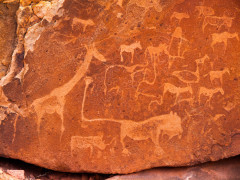 Rock engravings at Twyfelfontein, Namibia