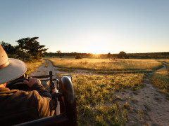 Vehicle safari in Sabi Sands Game Reserve, South Africa