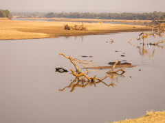 Luangwa River in South Luangwa National Park, Zambia.