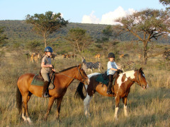 Horse riding in South Africa.