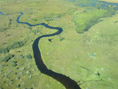 Aerial of the Okavango Delta in Botswana.