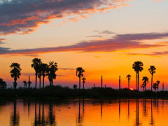 Lake Manze in Selous Game Reserve, southern Tanzania