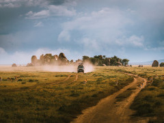Vehicle safari in Tanzania