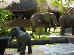 Sculpture workshop with Nick Mackman in Zambia