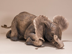 Elephant sculpture by Nick Mackman