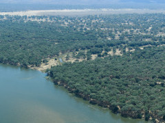 Aerial of the Lower Zambezi, Zambia.