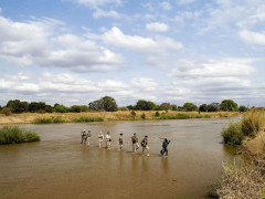 People on a walking safari in South Luangwa National Park, Zambia 