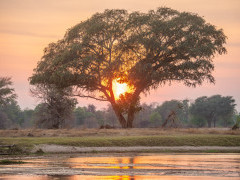 Sunset in North Luangwa National Park, Zambia