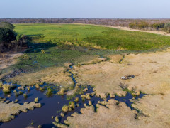 Vehicle safari in North Luangwa National Park, Zambia