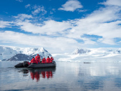 Whale watching from zodiac in Antarctica