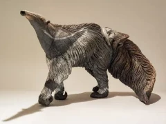 An anteater with young.