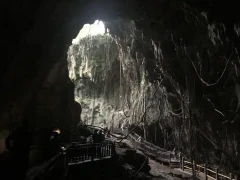 In the Binsari cave on Biak island, Indonesia.