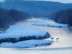 Otowa Bridge in Japan.