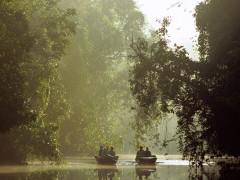 Boat trip on the Kinabatangan River in Borneo.
