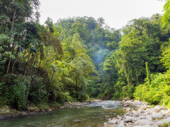 Bukit Lawang in Indonesia