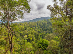 Bukit Lawang in Indonesia