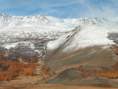 Altai mountain in Mongolia